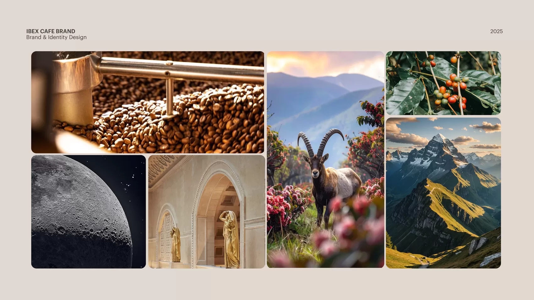 Ibex — slide 3 of 27